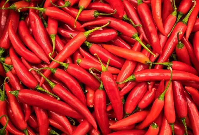 Hemorroides y comida picante, ¿hay relación?
