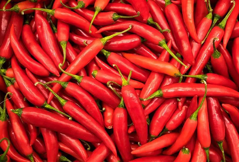 Hemorroides y comida picante