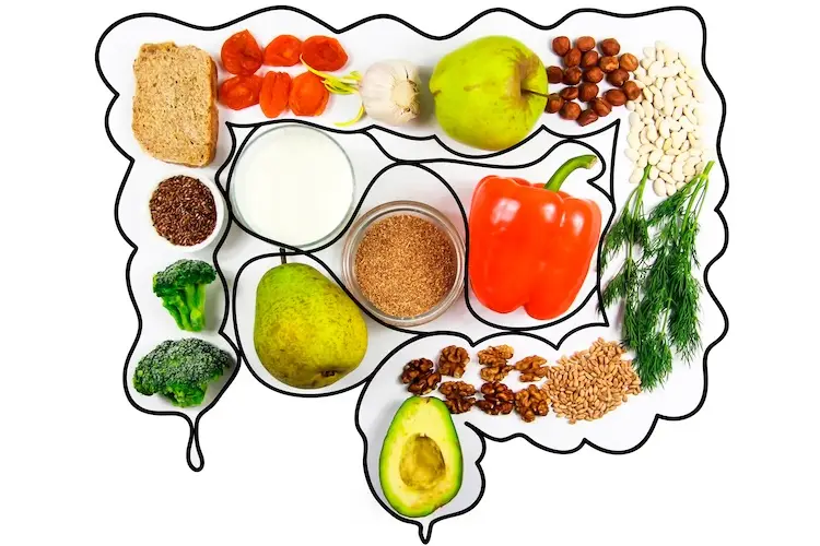 Probióticos y prebióticos para las hemorroides