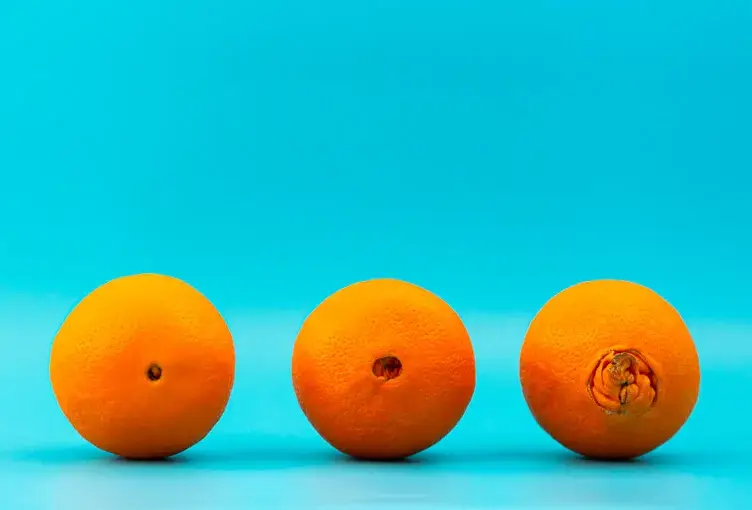 tipos y características de las hemorroides