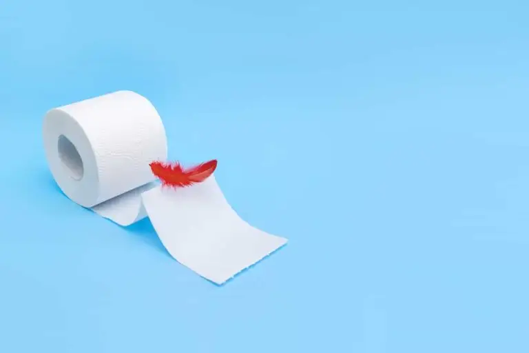 rollo de papel higiénico con una pluma roja encima